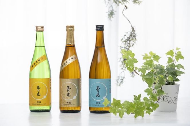 【玉乃光酒造】定番3種飲み比べセット［ 京都 お酒 日本酒 純米大吟醸 純米吟醸 地酒 ご当地 宅飲み 家飲み 晩酌 おすすめ 定番 ギフト プレゼント 贈答 セット ご自宅用 お取り寄せ おいしい ふるさと納税 ］ 261009_B-DK05