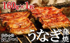 【花遊小路　江戸川】真空鰻・長１枚（160g・１枚） 261009_B-FF13