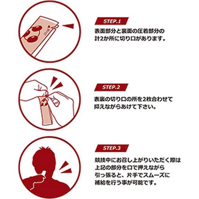 【鼓月】エネルギー補給羊羹 anpower 2箱（5本入×2） ［ スポーツ アミノ酸 補給食 ランニング トレーニング アウトドア　京都　お菓子］ 261009_B-FK88