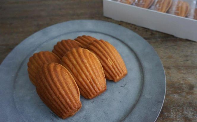 ys{sszyÓ}~zĂ܂񂶂イ }h[ku݂炵v15m s َq aَq XC[c lC   Mtg  ʔ  ӂ邳Ɣ[ n 261009_B-HR13