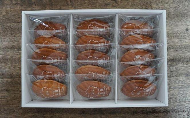 【甘党茶屋京梅園】焼きまんじゅう あんマドレーヌ「みたらし」15個入り［ 京都 お菓子 和菓子 スイーツ 人気 おすすめ おいしい ギフト お取り寄せ 通販 送料無料 ふるさと納税 ］ 261009_B-HR13