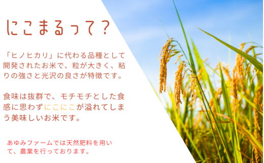 秘境の地からお届けする あゆみファームのお米 にこまる 5kg 令和７年産【10月下旬頃から順次発送】/ 米 お米 にこまる 5kg 精米 和歌山【aym013】