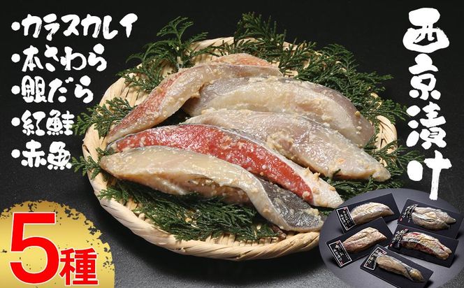 ys{sszyCYzЂ5Zbgi{ԁEgEJXJCEԋE₾j 261009_B-NM01