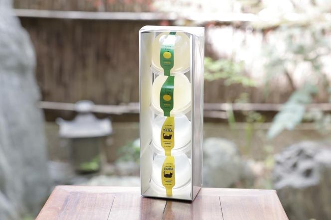 ys{sszyՂ`zՂ`×ʔT𑢁@4Zbg 261009_B-QJ05