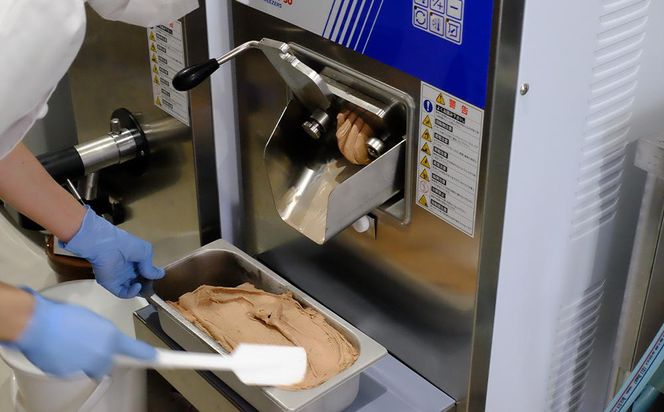 【友和堂】定番と季節のジェラート10個セット｜京都 スイーツ ジェラート 人気［ 京都 スイーツ 人気 おすすめ アイス お取り寄せ 通販 送料無料 ふるさと納税 ］ 261009_B-RH06