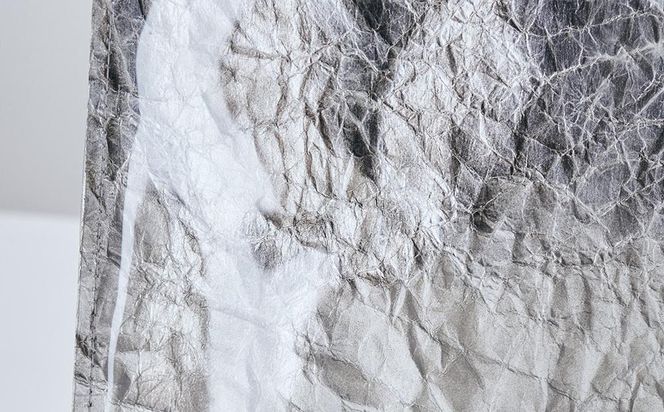 【KENTO HASHIGUCHI × 伝統工芸士】手もみ銀箔 ショッパーバッグ 縦（shopper bag） 261009_B-SJ03