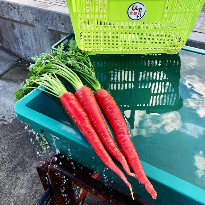 【anyone】京都の農家が作った京野菜・金時にんじんスムージー（3本セット） 261009_B-TL03