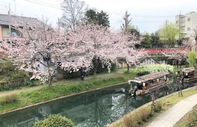 【吉招庵】お食事券 3,000円分［ 京都 伏見 京料理 本格和食 食事券 割引 チケット 人気 おすすめ グルメ ランチ ディナー ギフト プレゼント ふるさと納税 〕 261009_B-XC01