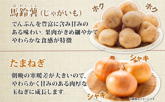 【2026年発送】 オーガニック じゃがたま BOX 約10kg 有機栽培 じゃがいも 玉ねぎ 北海道 倶知安 ニセコグリーンファーム