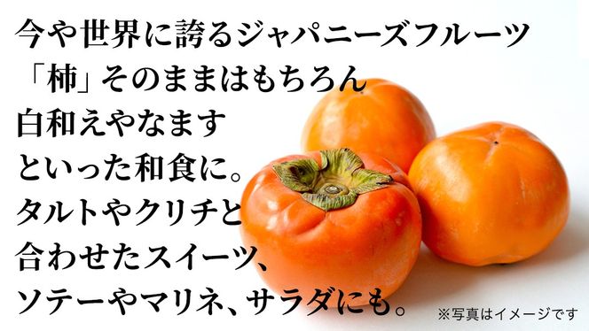 富有柿 15個 約3kg or 30個 約10kg 【11月より発送開始】（茨城県共通返礼品 [柿]：大子町産） | 柿 かき