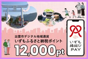 出雲市 デジタル地域通貨「いずも縁結びPAY」 いずもふるさと納税ポイント12,000pt（1pt＝1円）【12,000円分 電子決済 キャッシュレス 飲食 宿泊 体験 電子マネー 島根県 出雲市】 322032_FC005