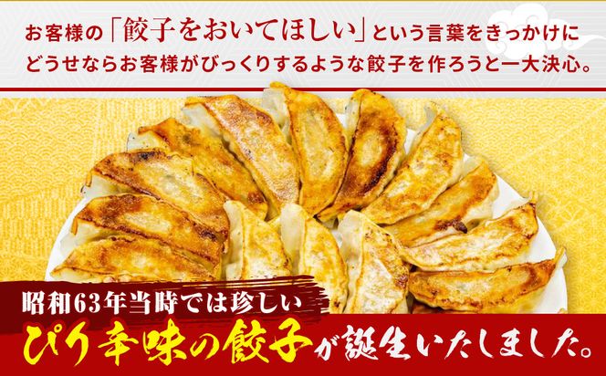 【ラーメン横綱】横綱の餃子はニンニク不使用! ぴり辛餃子＆黒豚餃子10パックセット(各5パック)［ 京都 ラーメン 有名店 餃子120個セット 黒豚＋ピリ辛 冷凍食品 大容量 おいしい 簡単 便利 人気 おすすめ 中華 中華料理 ぎょうざ 餃子 お取り寄せ 通販 送料無料 ふるさと納税 ］ 261009_A-EC002