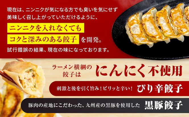 【ラーメン横綱】横綱の餃子はニンニク不使用! ぴり辛餃子＆黒豚餃子10パックセット(各5パック)［ 京都 ラーメン 有名店 餃子120個セット 黒豚＋ピリ辛 冷凍食品 大容量 おいしい 簡単 便利 人気 おすすめ 中華 中華料理 ぎょうざ 餃子 お取り寄せ 通販 送料無料 ふるさと納税 ］ 261009_A-EC002