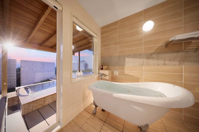 【クリスタルヴィラ白浜】ペットと泊まれるプライベートプール付きロイヤルスイートヴィラ ペア宿泊 304018_DR02