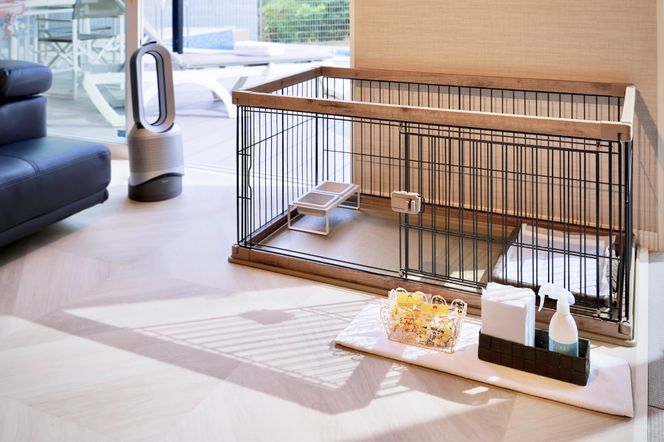 【クリスタルヴィラ白浜】ペットと泊まれるプライベートプール付きロイヤルスイートヴィラ ペア宿泊 304018_DR02