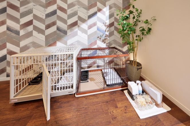 【クリスタルヴィラ白浜】ペットと泊まれる露天温泉付きスイートヴィラ ペア宿泊 304018_DR03