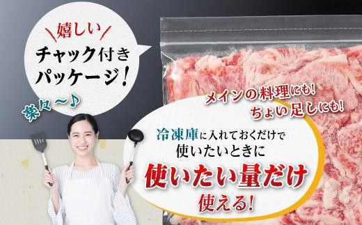 【定期便】豚肉4種 贅沢セット 2.25kg 全3回定期便 464686_SA162