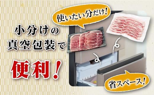 【定期便】九州産　豚肉2種　贅沢セット　1.5kg　全3回定期便　 464686_SA164