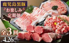 鹿児島黒豚お楽しみ定期便（計３回） 464686_SA167