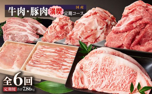 y蒬zEؓiR[Xi1񂨓͂jSU 464686_SA168