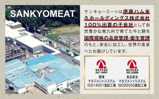  牛肉・豚肉満喫定期コース（毎月1回お届け）ｘ全６回 464686_SA168