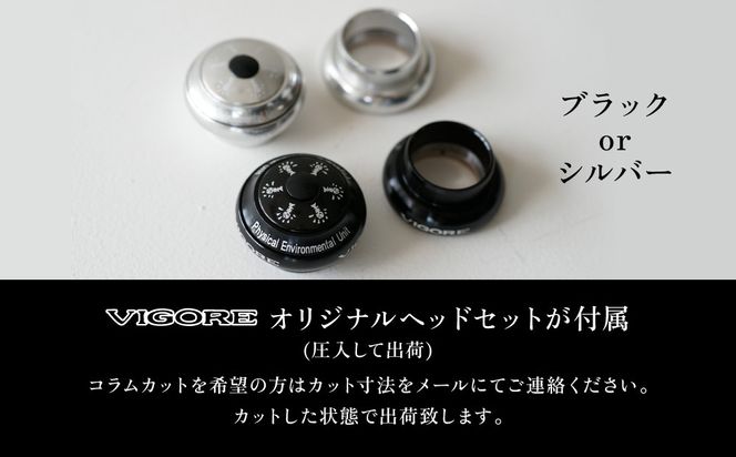 【VIGORE】ラグ付きハンドメイド ロードバイク「70next」(フレーム＆フォーク）［ 京都 ロードバイク 自転車 ブランド 人気 おすすめ スポーツ アウトドア ツーリング ブランド メーカー 取り寄せ 通販 ふるさと納税 ］ 261009_B-QQ13