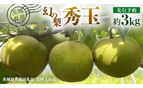 【 先行予約 】茨城県産 『幻の梨』 秀玉 約 3kg 7玉～9玉 ( 茨城県共通返礼品 : 常陸太田市 ) 【 2024年 9月上旬頃より発送 】 フルーツ 果物 国産 日本産 梨 ナシ なし 和梨 期間限定 数量限定 [EN005us]
