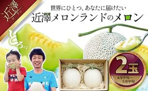 【先行予約】メロン 2玉入り（1玉約1.4kg～1.8kg）青肉 〈2027年4月上旬～5月中旬頃発送〉 メロン めろん マスクメロン 舐瓜 果物 くだもの フルーツ デザート 旬 ハウス栽培【株式会社とさもん】[BQAE025]