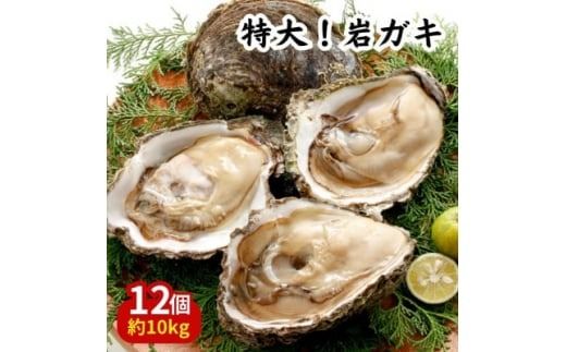 特大!天然岩牡蠣12コ(約10kg・特上・殻付き生食用)CAS冷凍カキ 海鮮バーベキューBBQに