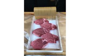 静岡特撰牛ヒレステーキ　500g（約150g×3枚） 222232_DC004