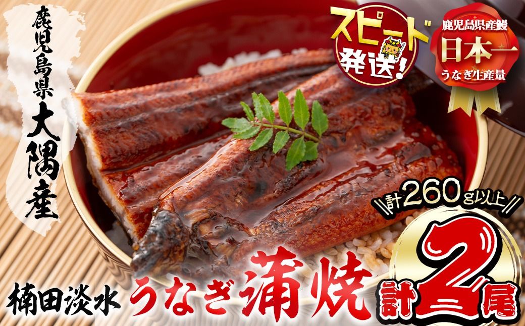 [入金確認後、2週間以内に発送!]楠田の極うなぎ蒲焼き130g以上×2尾(計260g以上) a4-093-2w