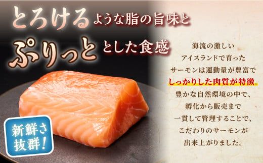【TOWA SALMON】アトランティック サーモン 1.6kg 鮭 サーモン さけ シャケ しゃけ sake カルパッチョ ソテー レアステーキ 人気 高級 大満足 美味しい 贈答 生食用 刺身 お刺身 刺し身 魚介類 海鮮 冷凍 厚切り 薄切り ふるさと納税 北海道 白糠町 ※2026年1月末までにお届け※