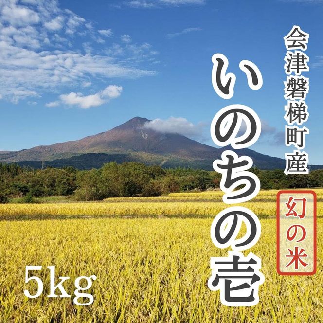 【令和6年産】幻の米 いのちの壱 特別栽培米 5kg 【減農薬・減化学肥料】