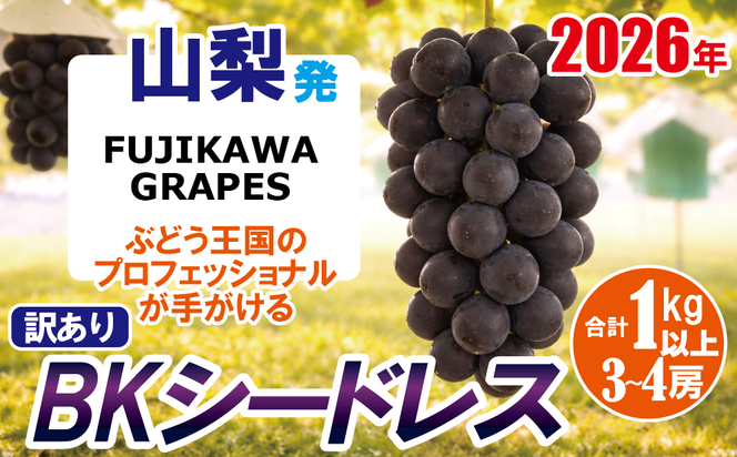 《訳あり》でも誇れる美味しさ　【BKシードレス】　1.0kg以上（3～4房）　【2026年発送分 先行予約】- FUJIKAWA GRAPES -　嬉しい満足感