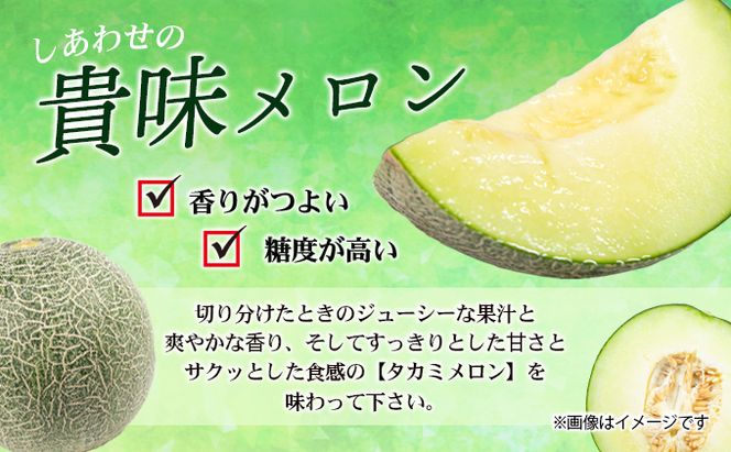 幸せの「タカミメロン」1玉（大玉） フルーツ 果物 