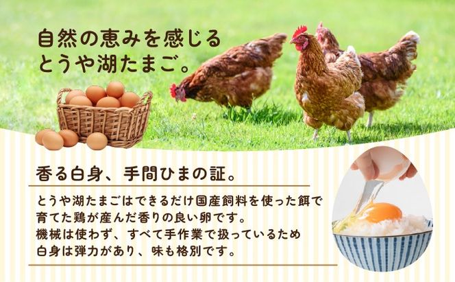 【3ヵ月 定期便】 北海道 伊達市 とうや湖 卵  20個 入り たまご