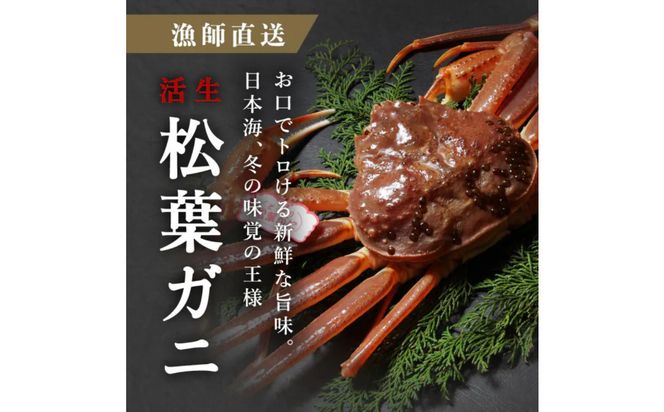 松葉ガニ活生「特大1枚」ブランドタグ付き※着日指定不可※【弁慶丸】 312011_DX002