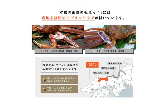 松葉ガニ活生「特大1枚」ブランドタグ付き※着日指定不可※【弁慶丸】 312011_DX002