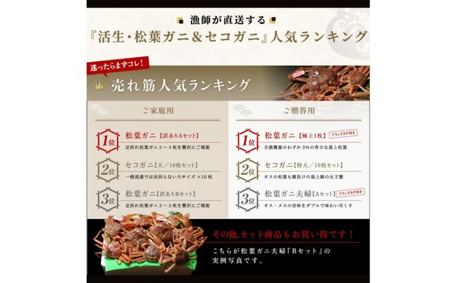 松葉ガニ活生「特大1枚」ブランドタグ付き※着日指定不可※【弁慶丸】 312011_DX002