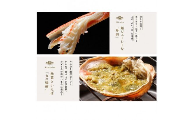 松葉ガニ 訳ありBセット※着日指定不可※【弁慶丸】 312011_DX008