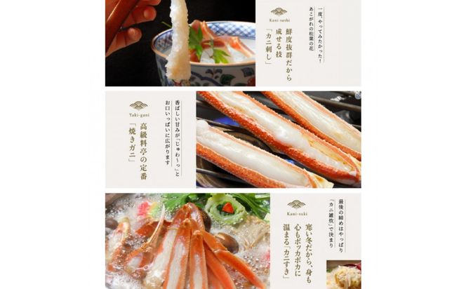 松葉ガニ 訳ありBセット※着日指定不可※【弁慶丸】 312011_DX008