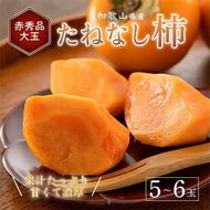 先行受付!　柿　種無し　赤秀品　大玉　5～6個　約2kg
