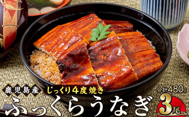 y蒬zȂ  160g×3yYznňĂiV 464686_AQ104