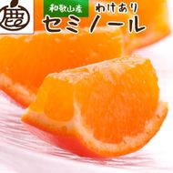 ［先行予約］家庭用 セミノールオレンジ2.5kg+250g（傷み補償分）［春みかん］［訳あり］［光センサー食べ頃出荷］［IKE151］ 303446_BB90036