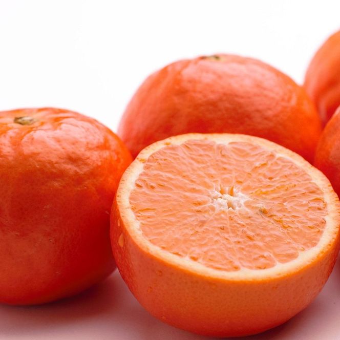 ［先行予約］家庭用 セミノールオレンジ2.5kg+250g（傷み補償分）［春みかん］［訳あり］［光センサー食べ頃出荷］［IKE151］ 303446_BB90036