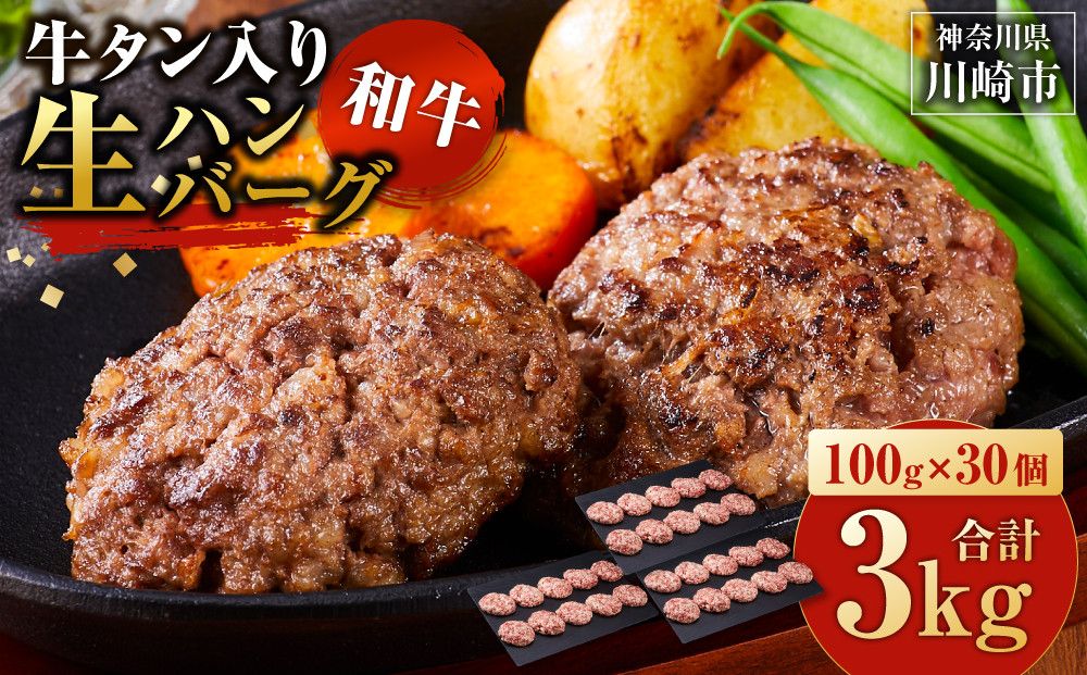 牛タン"入り"和牛生ハンバーグ 100g×30pc 合計3kg[10月発送] 141305_KZ11VC10