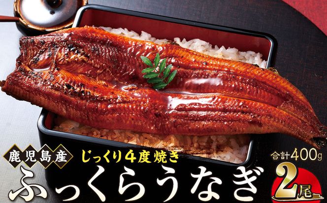 y蒬zȂ  200g×2yYznňĂiV 464686_AQ108