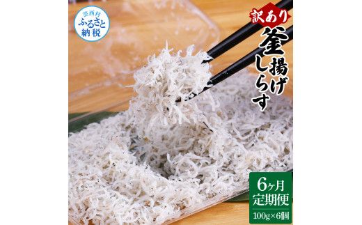 【CF-R7hbk】t189mmk　〈6ヶ月定期便〉訳あり 釜揚げシラス 100g×6個 定期便 定期コース 6ヶ月 しらす シラス 釜揚げ 新鮮 塩分控えめ 離乳食 わけあり ワケあり 不揃い しらす丼 海鮮丼 お茶漬け