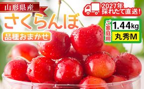 FYN6-631 ≪2027年先行予約≫ご家庭用 山形県産 品種おまかせ さくらんぼ(佐藤錦・紅秀峰など) 1.44kg(180g×8パック) 丸秀品 M以上 フードパック詰め 2027年6月中旬から順次発送 果物 くだもの フルーツ サクランボ チェリー 自宅 家庭 産地直送 山形県 西川町 月山