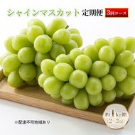 【定期便】【2026年先行予約】 ぶどう 岡山県産 シャインマスカット 1kg箱（各2～3房） 定期便 3回 《2026年10月中旬-12月上旬頃出荷》 葡萄 ブドウ 岡山県産 フルーツ 果物 数量限定
